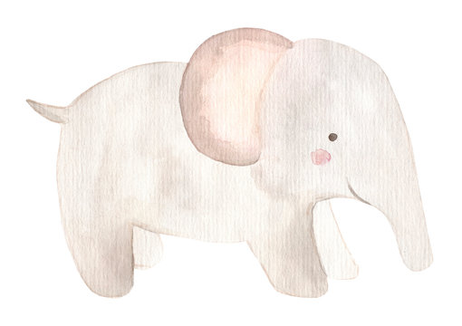 Watercolor hand painted elephant. Isolated on white background. Animal illustration.
