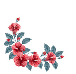Hand drawn watercolor painting  with pink Chinese Hibiscus rose flowers isolated on white background. Corner ornament.