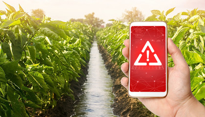 A phone warns of the danger against the background of a farm plantation of pepper. Monitoring and...