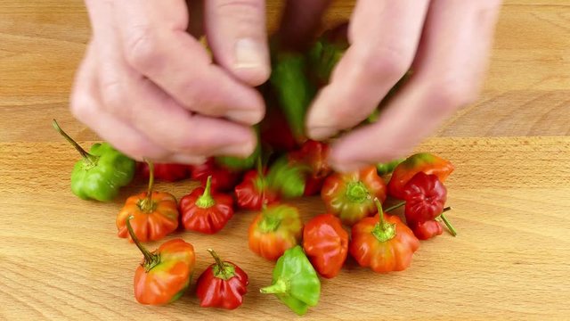 putting a pile of colorful patisson chili peppers on a wooden cutting board closeup 4k