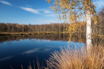 Kaltenhofer Moor in Schleswig-Holstein in Germany