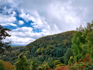 Autumn in the woods of the Aspromonte national park.