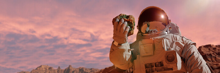 life on planet Mars, astronaut discovers bacterial life on the surface of a rock © dottedyeti