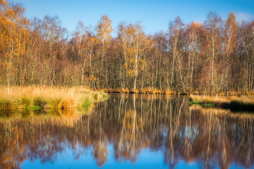 Kaltenhofer Moor in Schleswig-Holstein in Germany