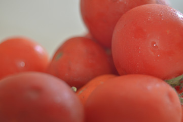 Fresh tomatoes in drops of dew as a background.