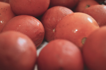 Fresh tomatoes in drops of dew as a background.