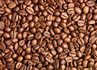 coffee bean brown roasted caffeine espresso seed