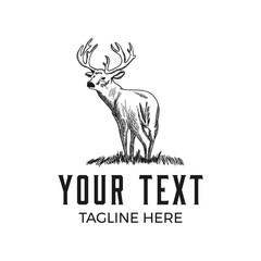 hand drawn vintage deer logo