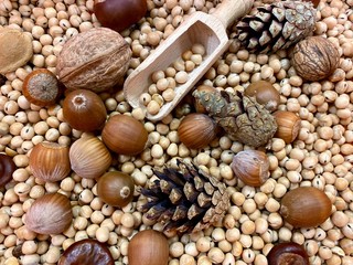 touch box for teaching children