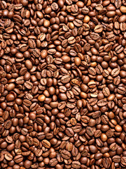 coffee bean brown roasted caffeine espresso seed