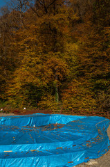 children's pool near the forest, covered with a plastic blue protective cover with several fallen yellow autumn leaves in anticipation of winter