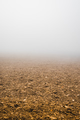 karger trockener Acker im Nebel liegend