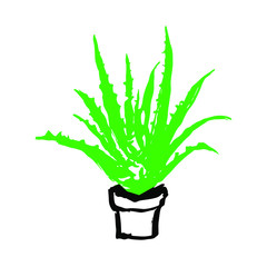 Aloe vera plant in a pot. Hand drawn vector illustraion isolated on white background.