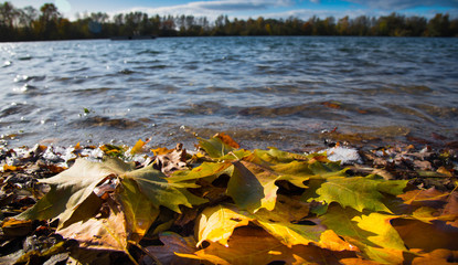 Herbst im Naturschutzgebiet Taubergiessen