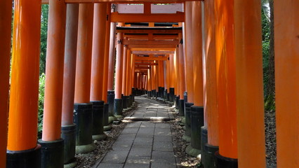 Inari