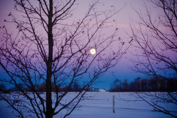 Indiana Winter Moon