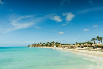 Fototapeta na wymiar White sand beach and turquoise water ocean on green palm trees and blue sky background. Aruba. Amazing backgrounds.