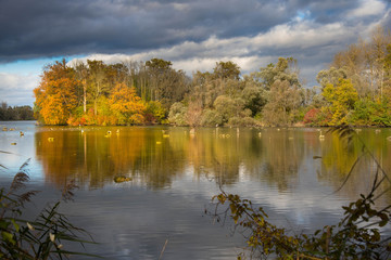 Fototapeta na wymiar Herbst im Naturschutzgebiet Taubergiessen