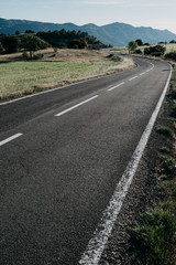 Road in the middle of nature to pass with the car with gray, green, white, black and blue colors