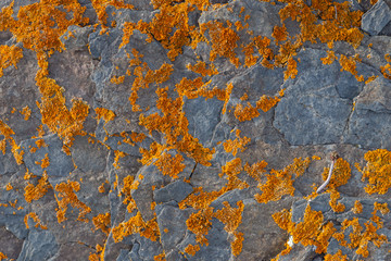 Textured background of pieces of slate stone with gray, orange and brown colors