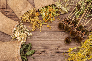 Herbal harvest collection and bouquets of wild herbs. Alternative medicine. Natural pharmacy, self-care concept