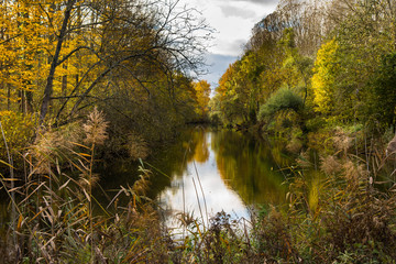 Herbst im Naturschutzgebiet Taubergiessen