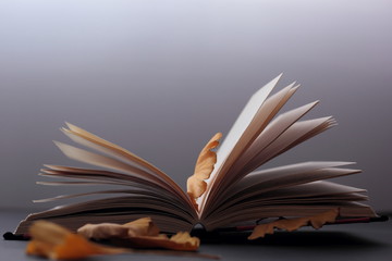Closeup of a book with dry leaves around it. Concept of reading in autumn.
