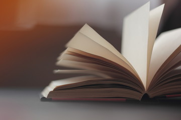 Closeup of a book with dry leaves around it. Concept of reading in autumn.
