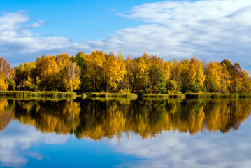 Fototapeta na wymiar Autumn landscape-the forest on the shore of lake