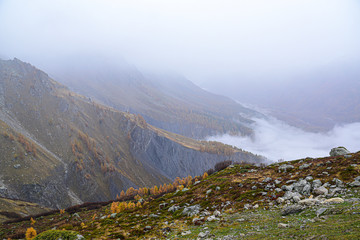 The colors of autumn in the mountains.