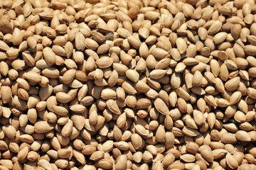 Organic almond agriculture for food and cosmetics industry