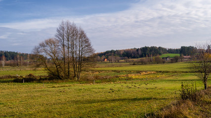 Wzgórza Sokólskie, Piękno ziemi sokólskiej, Jesień na Podlasiu,  © podlaski49