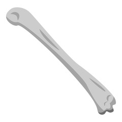 Skeleton bone icon. Isometric of skeleton bone vector icon for web design isolated on white background