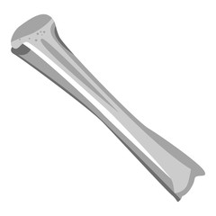 Humerus icon. Isometric of humerus vector icon for web design isolated on white background