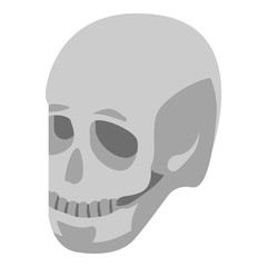 Human skull icon. Isometric of human skull vector icon for web design isolated on white background