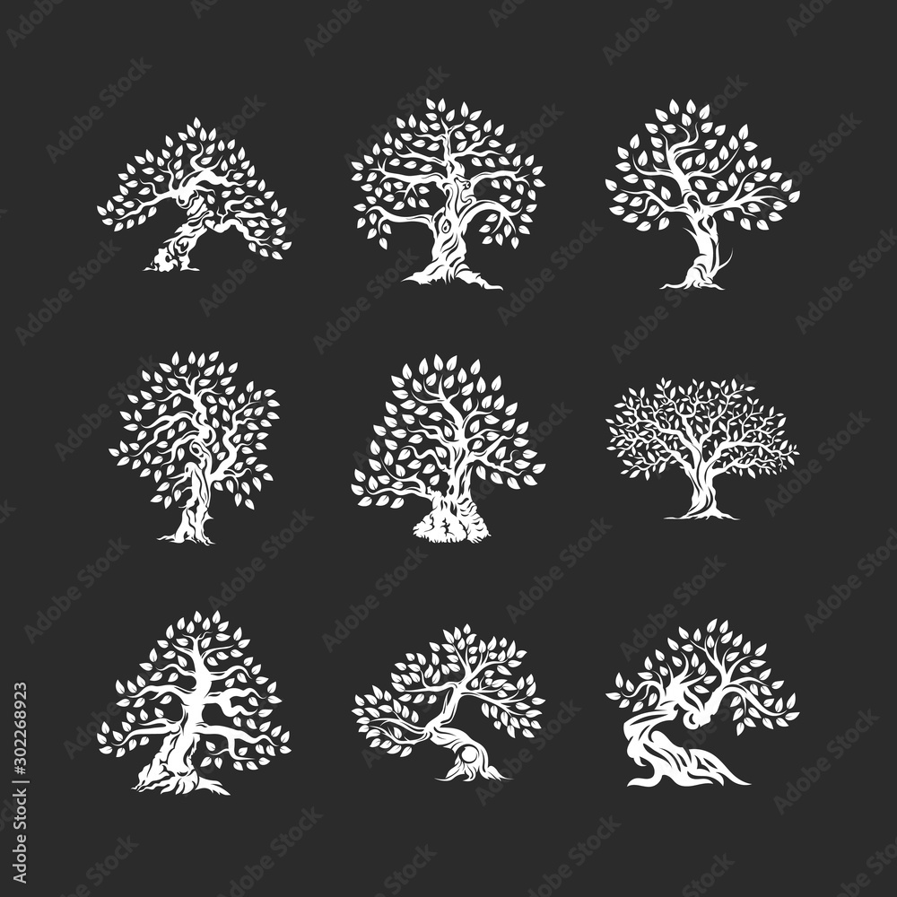 Canvas Prints beautiful magnificent olive tree silhouette icon set isolated on black. modern virgin natural plant 