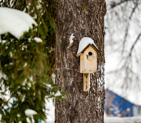 Birdhouse for birds on the trunk of a coniferous tree in winter park in rural areas
