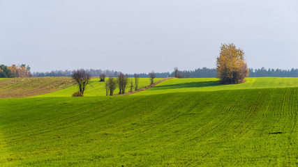 Wzgórza Sokólskie, Piękno ziemi sokólskiej, Jesień na Podlasiu,  © podlaski49