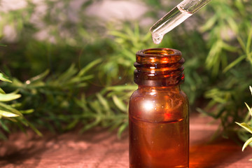 Bottle of natural ecological essential oil. Alternative Herbal Medicine Concept.