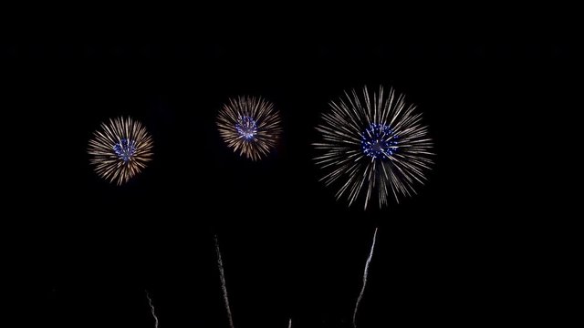 Many flashing colourful fireworks in event amazing with black background celebrate New Year, holiday and festival in night.