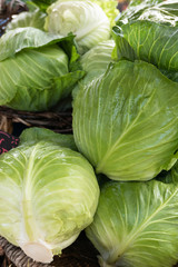 Obraz premium Three heads of shiny green cabbage