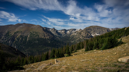 trees with mountains