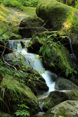 Gertelbach Wasserfall