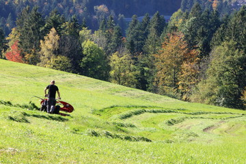 Fototapeta na wymiar Landwirtschaft in den österreichischen Alpen, letzte Mahd einer Wiese im Herbst