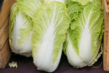 Three nice heads of bright green napa cabbage in a wooden crate