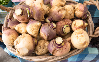 A basketful of fresh rutabagas at the market