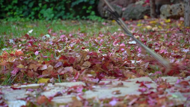 gardener collecting fallen leaves with rake