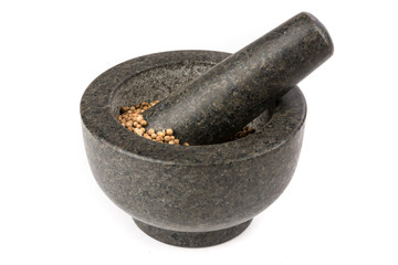 Whole cilantro coriander seed spice herb for cooking