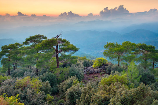 Tro&circ;dos mountains landscape at sunset, Pano Platres, Limassol District, Cyprus