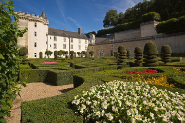 Fototapeta premium Gardens of the castle Villandry of the Loire valley in France,Europe